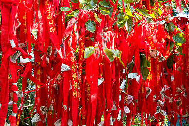xax爻賶賰賶卮|古文明之谜解密:探秘《xax爻賶賰賰卮》奇幻冒险之旅-4